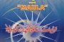 Forty Evidences on the meaning of the word “al-Mauwa”